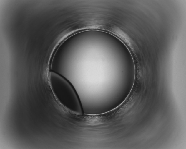 X0000100311332200806051448