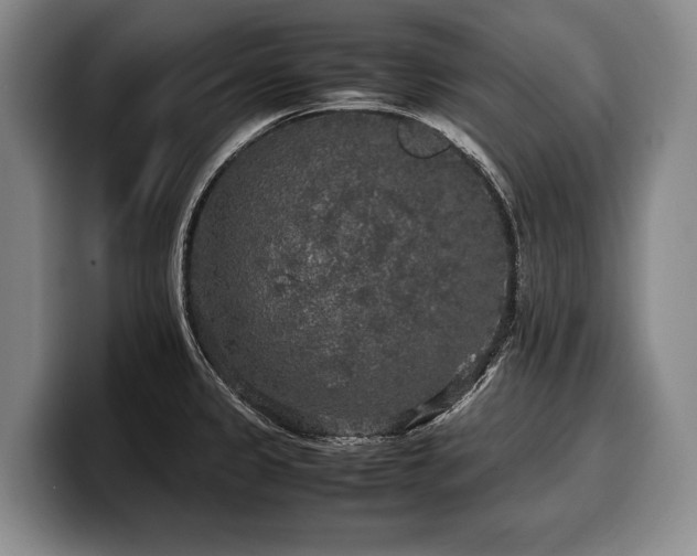 X0000100311333200806051448