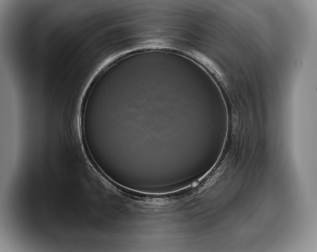 X0000100311334200806051448