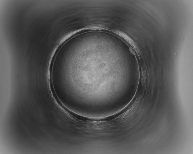 X0000100311335200806051448