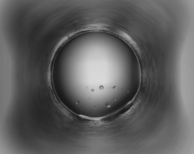 X0000100311336200806051448