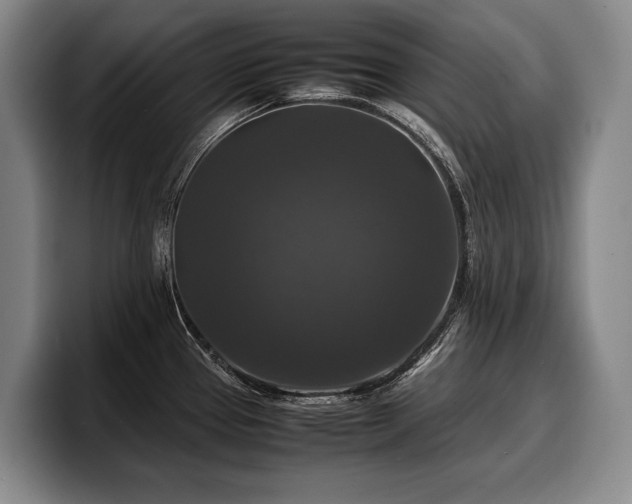 X0000100311337200806051448