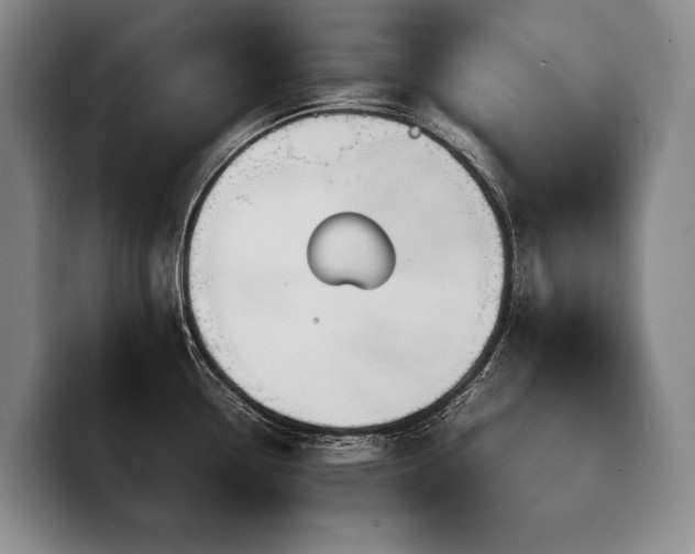 X0000100311338200806051448
