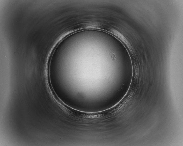 X0000100311339200806051448
