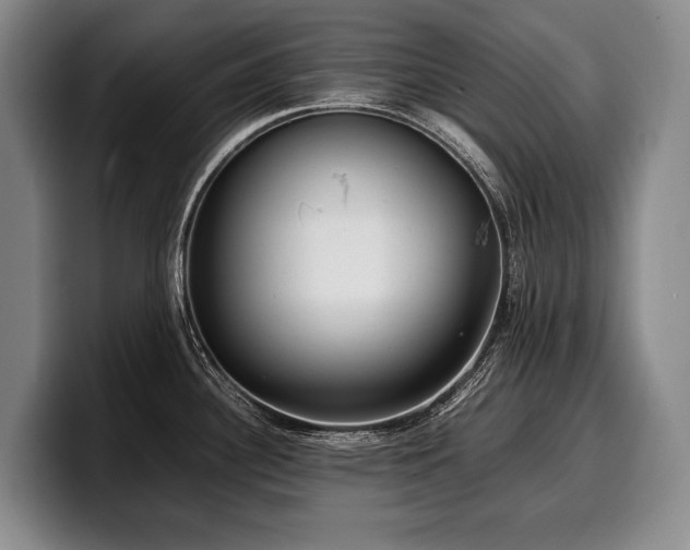 X0000100311340200806051448