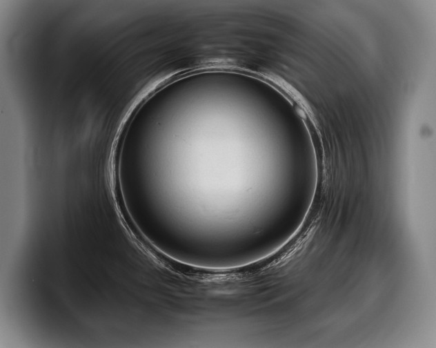 X0000100311341200806051448