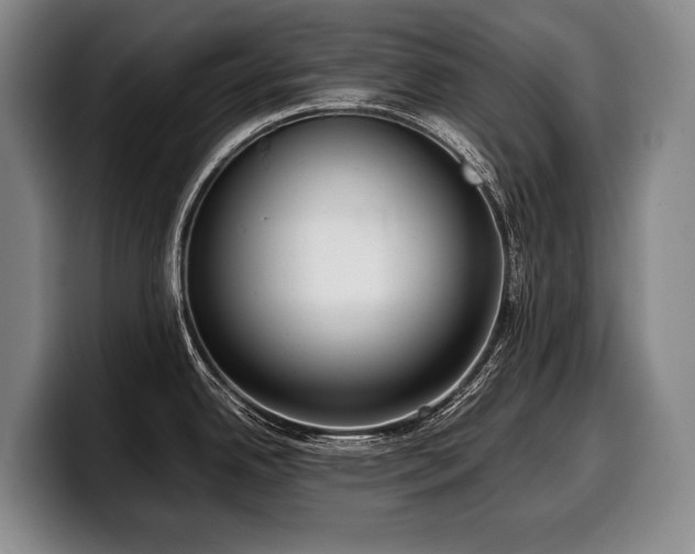 X0000100311342200806051448