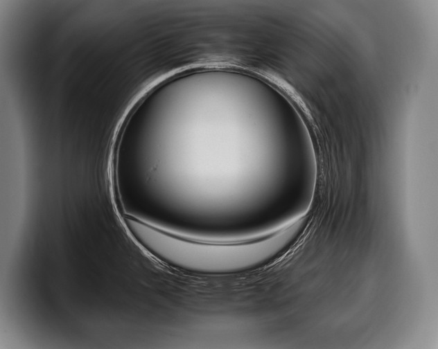 X0000100311343200806051448
