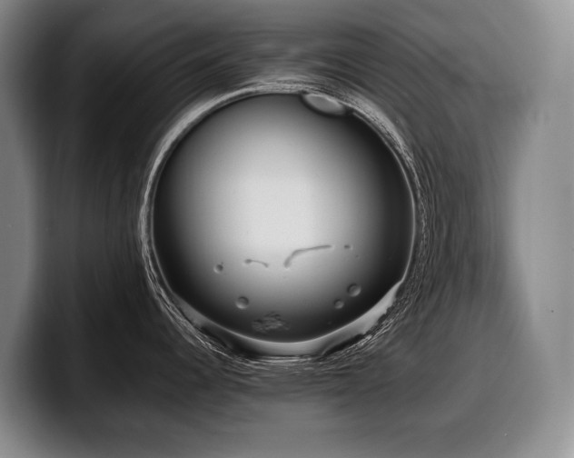 X0000100311344200806051448