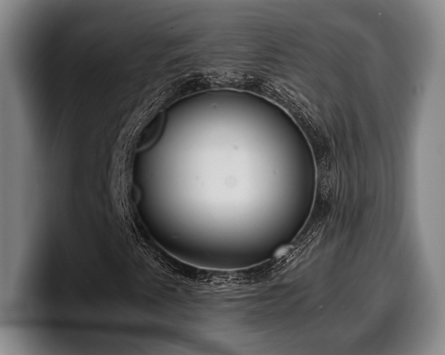 X0000100311345200806051447