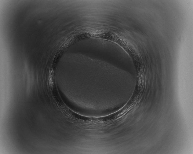X0000100311346200806051447