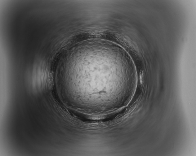 X0000100311347200806051447