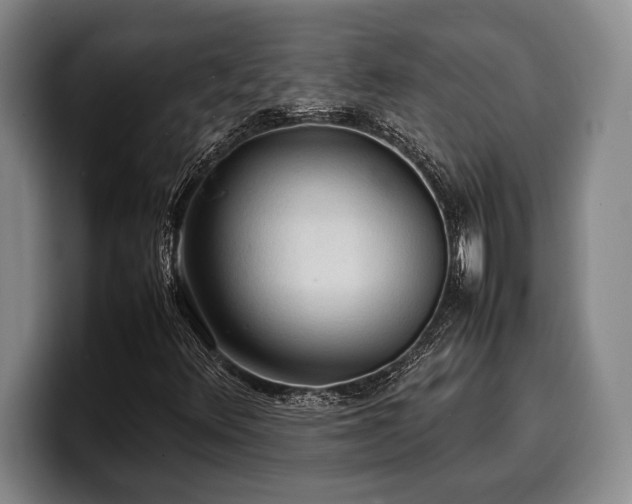X0000100311348200806051447