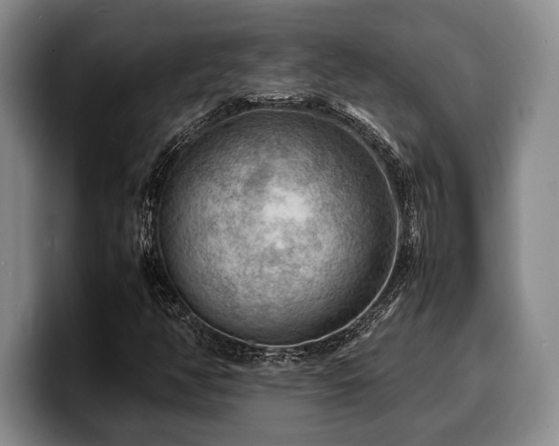 X0000100311350200806051447
