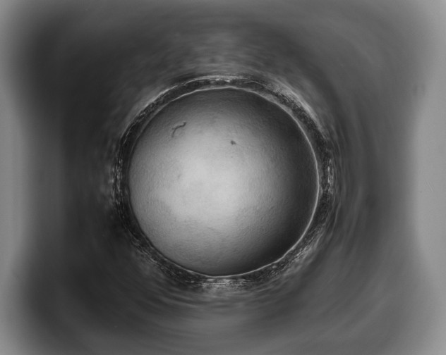X0000100311352200806051447