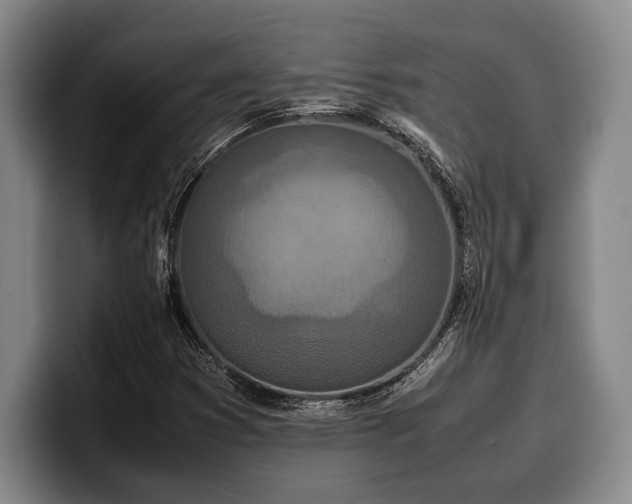 X0000100311353200806051447