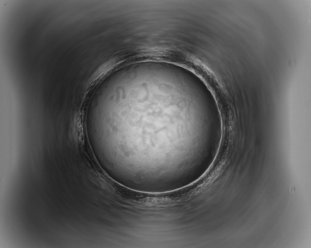 X0000100311354200806051447