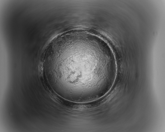 X0000100311355200806051447
