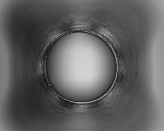 X0000100311357200806051447