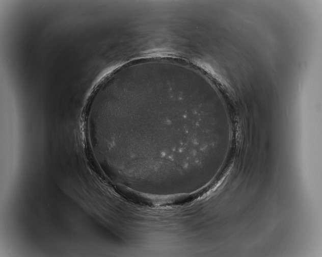 X0000100311358200806051447