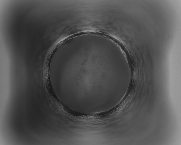 X0000100311359200806051447