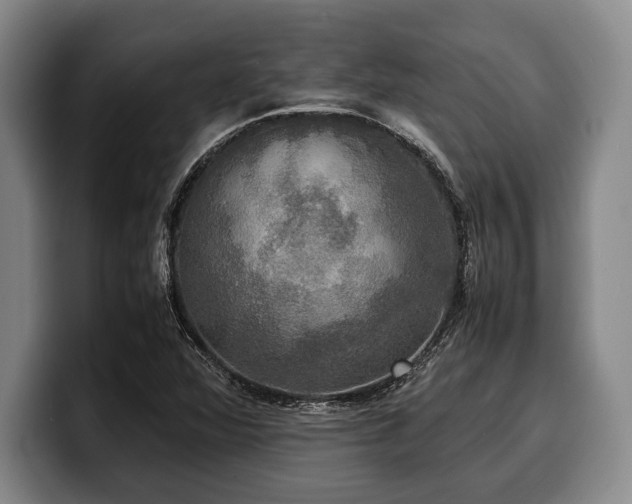 X0000100311360200806051447