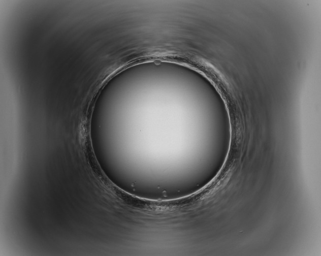 X0000100311361200806051447