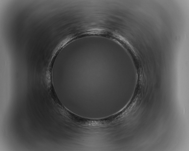 X0000100311362200806051447
