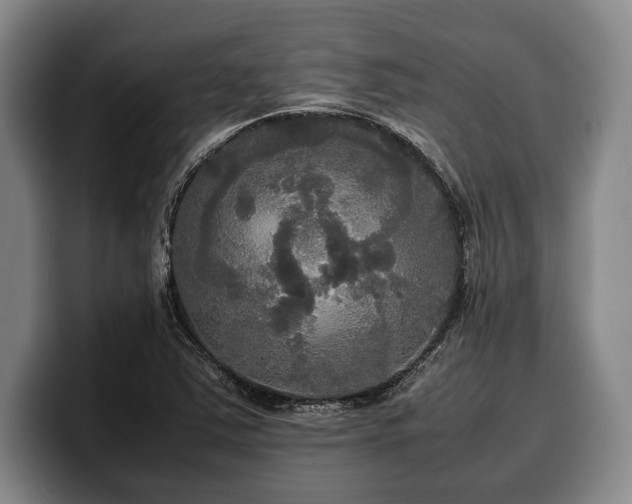 X0000100311363200806051447