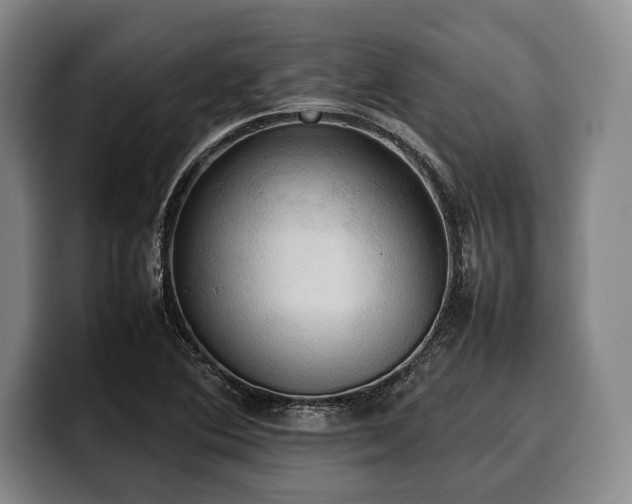 X0000100311364200806051447
