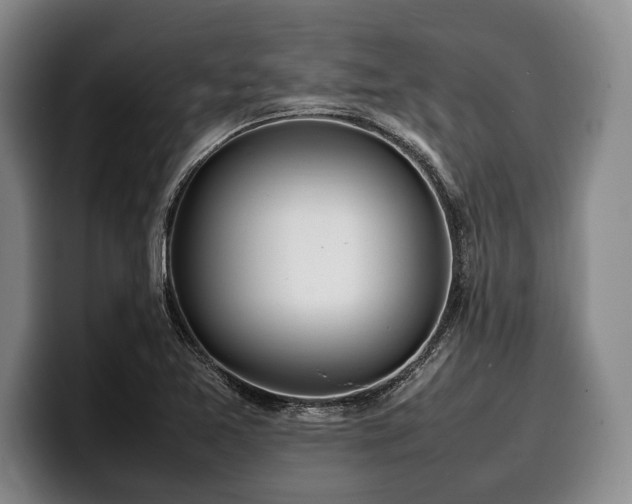 X0000100311365200806051447