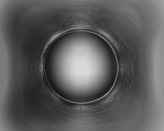 X0000100311366200806051447