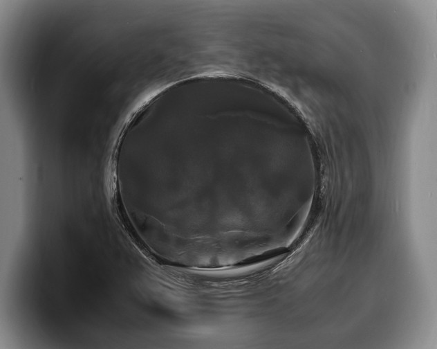 X0000100311367200806051447