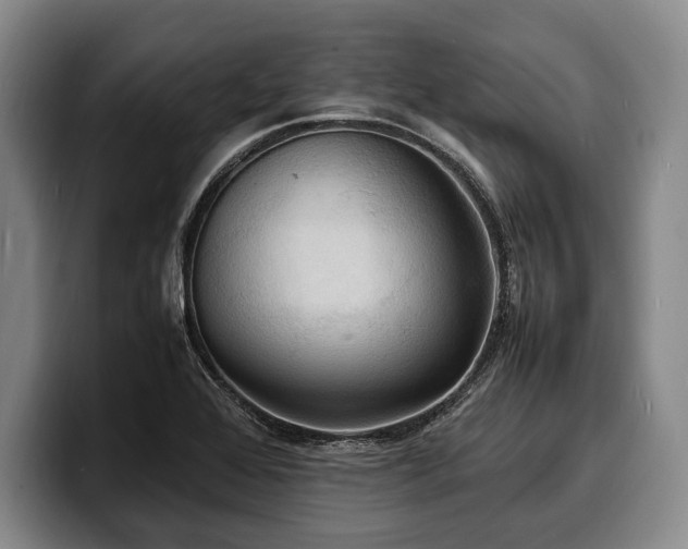 X0000100311368200806051447