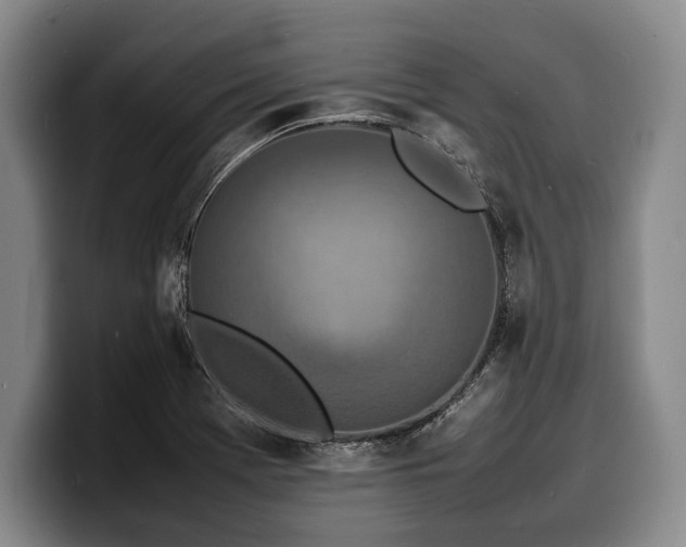 X0000100311369200806051447