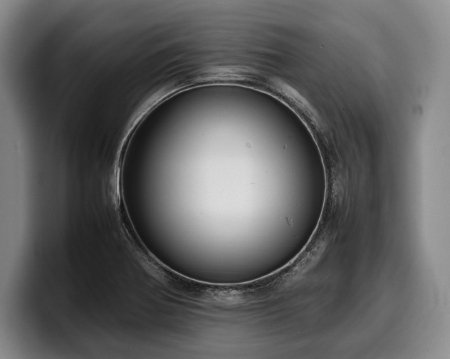 X0000100311370200806051447