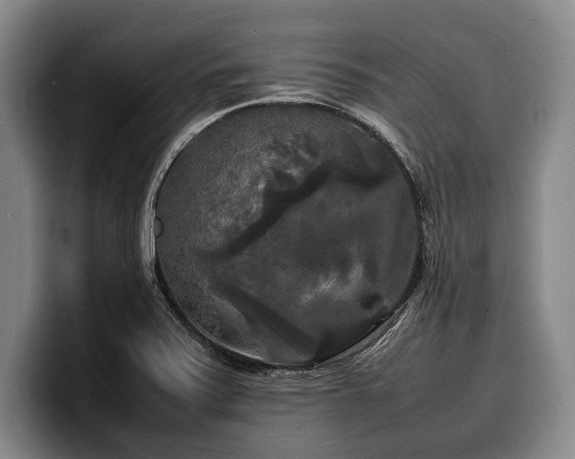 X0000100311371200806051447