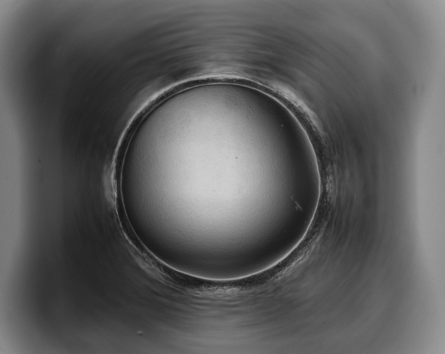 X0000100311372200806051447