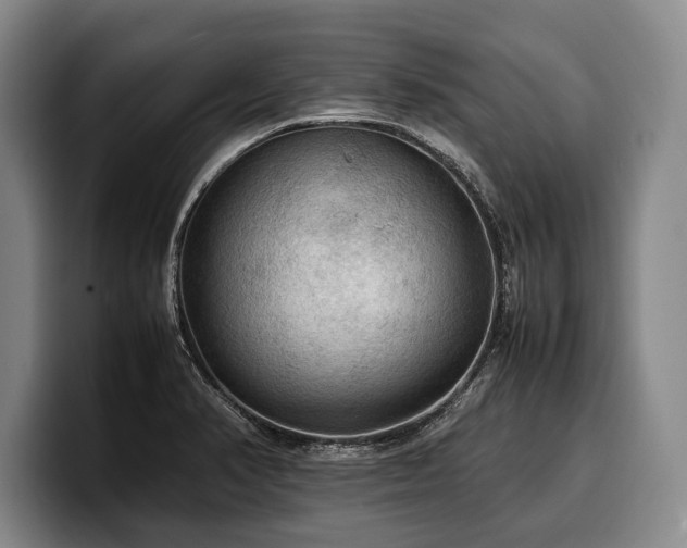 X0000100311374200806051447
