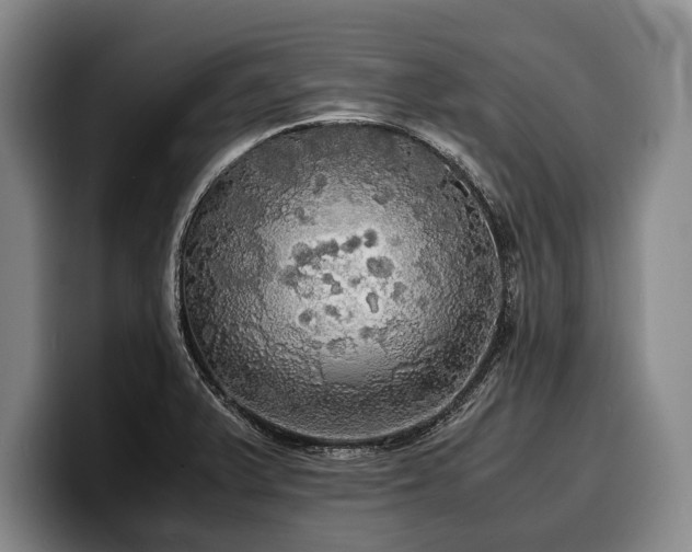 X0000100311375200806051447
