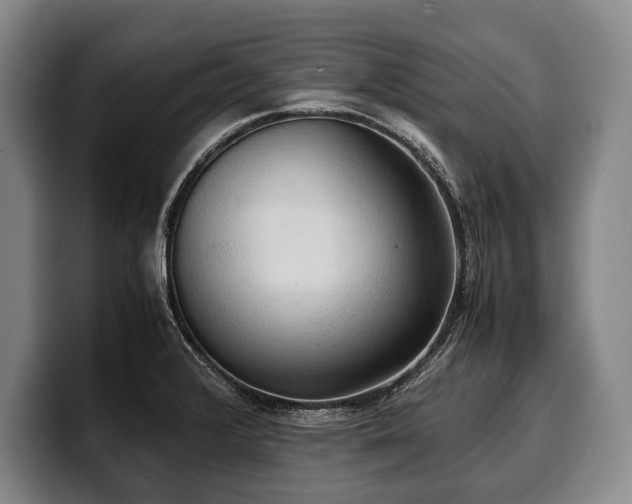 X0000100311376200806051447