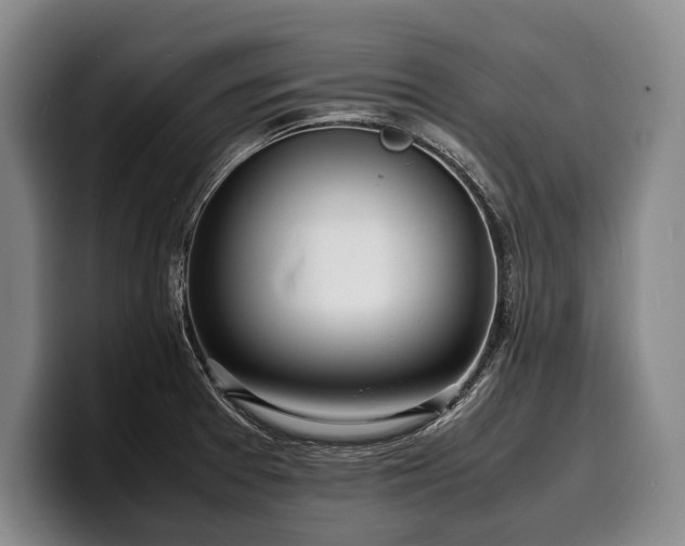 X0000100311377200806051447