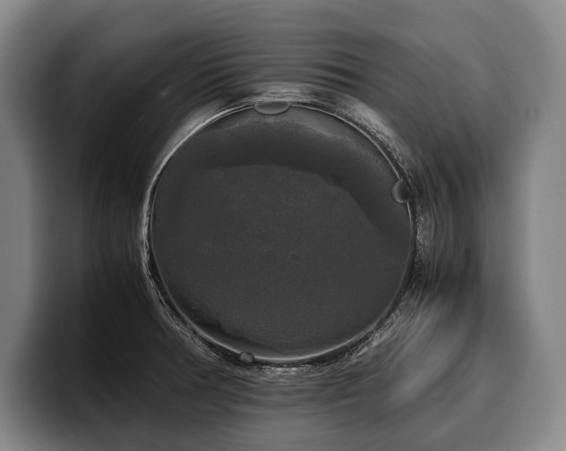 X0000100311378200806051447