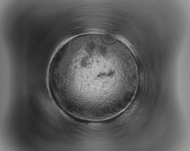 X0000100311379200806051447