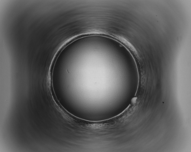 X0000100311380200806051447