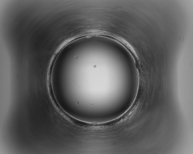 X0000100311381200806051447