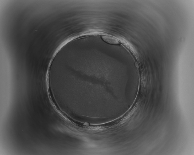 X0000100311382200806051447