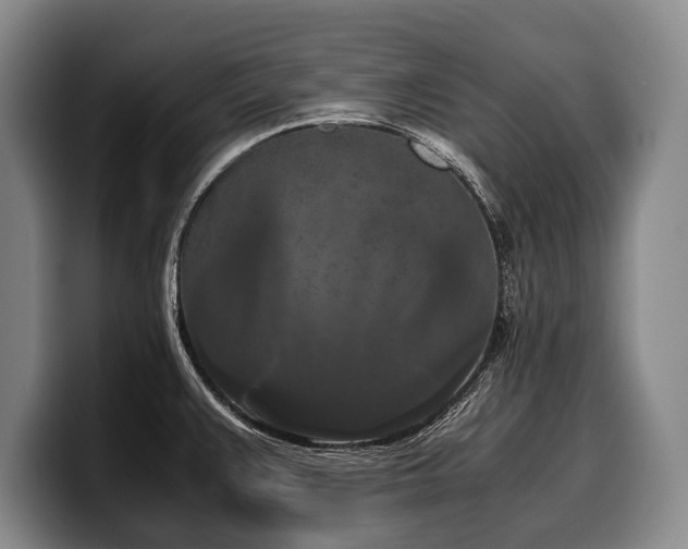 X0000100311383200806051447
