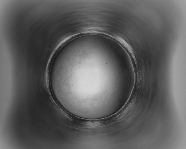 X0000100311384200806051447