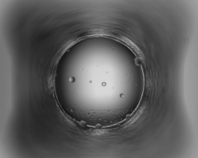 X0000100311385200806051447